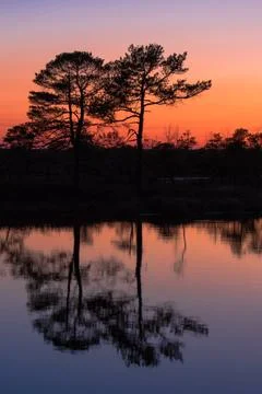 Dramatic sunset Foto stock