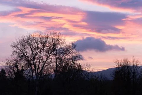 Dramatic sunset with pink clouds over bar trees and hills in wintertime in Sw Stock-Fotos