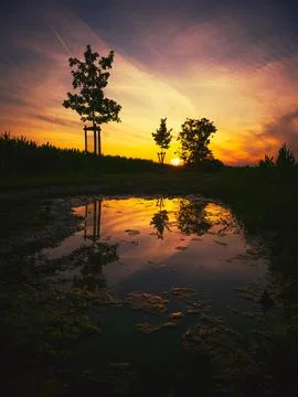 Dramatic sunset reflection in a puddle near Rajhrad, Czech Republic Stock Photos
