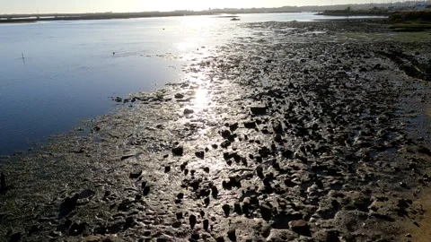 Dramatic Sunset with Rolling Ocean Waves Stock Footage 287562048