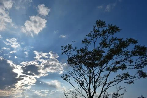 Dramatic Sunset at Sandy Hook, New Jersey -39 Stock Photos