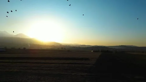 A dramatic sunset scene captured by a drone, featuring silhouettes of crows glid 動画素材 322150677