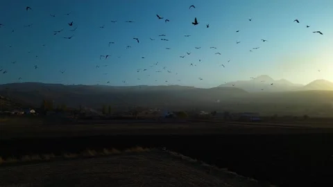 A dramatic sunset scene captured by a drone, featuring silhouettes of crows glid 動画素材 322150678