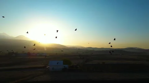 A dramatic sunset scene captured by a drone, featuring silhouettes of crows glid 動画素材 322150686