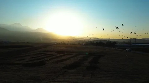 A dramatic sunset scene captured by a drone, featuring silhouettes of crows glid 動画素材 322150718