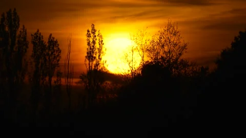 Dramatic sunset scene with silhouetted trees red skyline nature dusk Stock Footage 329462326