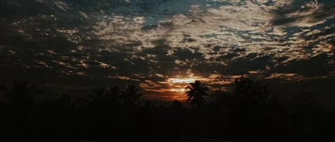 Dramatic Sunset Silhouette of Palm Trees Against a Cloudy Sky Stock Footage 301064391