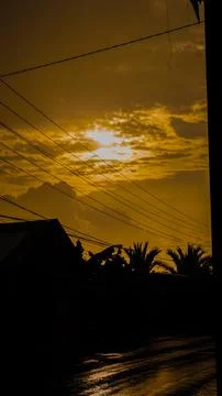 Dramatic Sunset Silhouette with Palm Trees Stock Photos