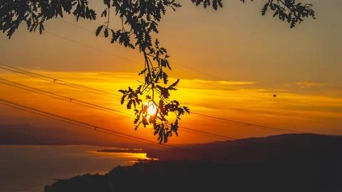 Dramatic sunset with silhouetted branches and glowing golden skies. Stock Photos