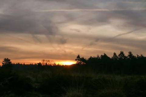 Dramatic Sunset Sky Above Dark Tree Silhouettes and Cloud Cover Foto stock