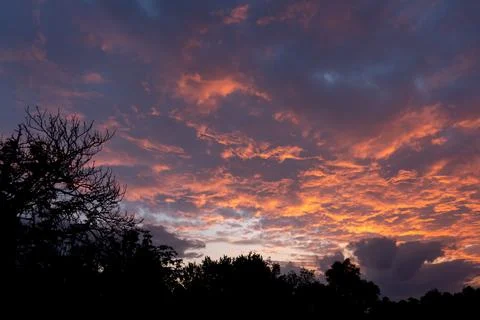 Dramatic sunset sky with burning orange clouds over dark tree silhouettes Stock Photos