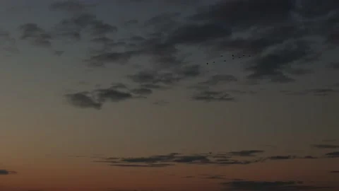Dramatic sunset sky clouds and flying birds silhouettes, colorful dusk dawn sky Stock Footage 176367002