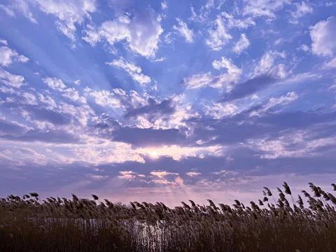 Dramatic sunset sky clouds over reed Stock Photos