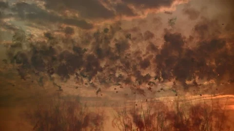 Dramatic sunset sky with colorful smoke clouds and explosive firework display at Stock Footage 303610364