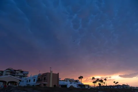 Dramatic sunset sky with mammatus clouds over coastal houses and palm trees Stock Photos