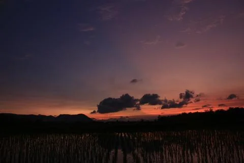 Dramatic sunset sky over flooded rice field and distant hills Stock Photos