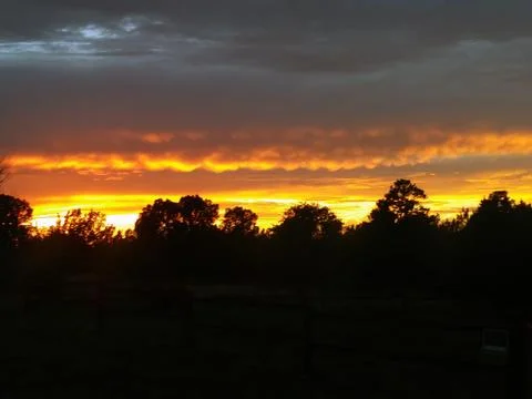 Dramatic Sunset Sky Over Forest Tree Tops Stock Photos