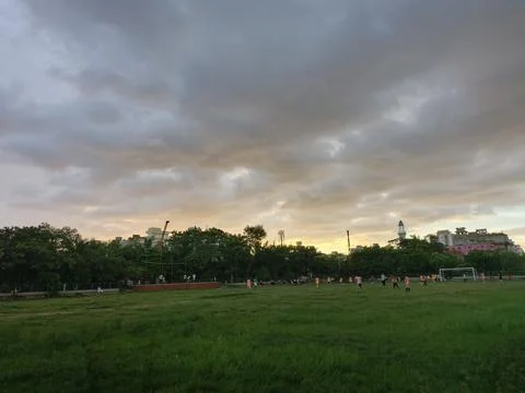 Dramatic sunset sky over green field and trees Stock Photos