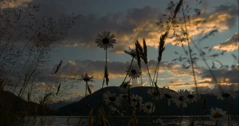 Dramatic sunset sky over the Harrison Lake in Harrison Hot Springs Stock Footage 201499077