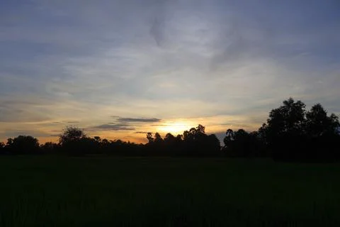 Dramatic Sunset Sky over Palm Tree Silhouettes in Countryside 库存照片