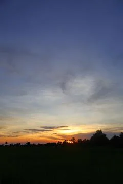 Dramatic Sunset Sky over Palm Tree Silhouettes in Countryside 库存照片