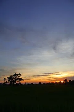 Dramatic Sunset Sky over Palm Tree Silhouettes in Countryside 库存照片