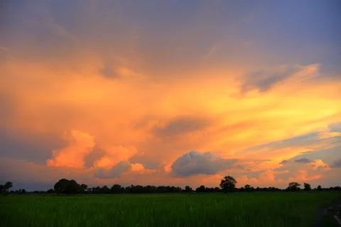 Dramatic Sunset Sky over Palm Tree Silhouettes in Countryside 库存照片