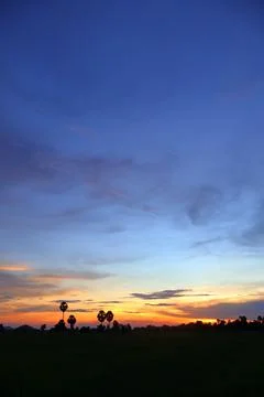 Dramatic Sunset Sky over Palm Tree Silhouettes in Countryside 库存照片