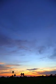 Dramatic Sunset Sky over Palm Tree Silhouettes in Countryside 库存照片