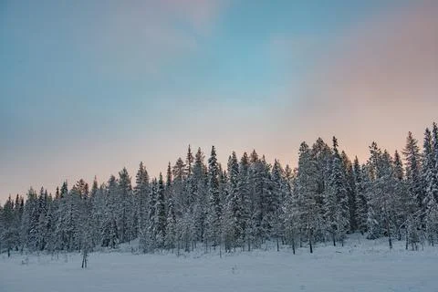 Dramatic sunset sky over snow covered winter forest and trees landscape, Stock Photos