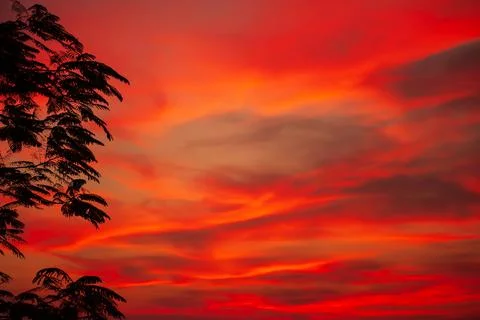 Dramatic sunset sky over a tropical forest. Stock Photos