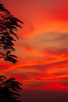 Dramatic sunset sky over a tropical forest. Stock Photos