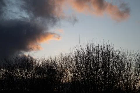 Dramatic Sunset Sky with Silhouetted Bare Trees Stock Photos