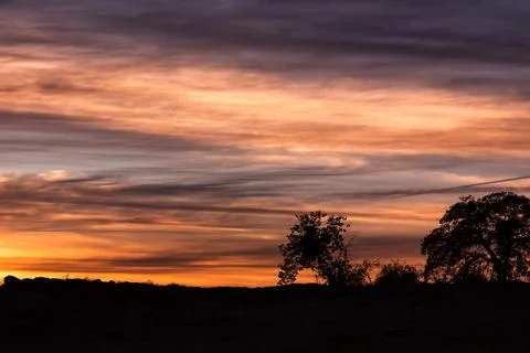 Dramatic sunset sky with silhouetted trees on the horizon! Foto stock
