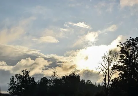 Dramatic sunset sky with silhouetted trees and golden clouds 库存照片