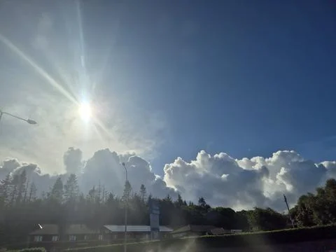 Dramatic sunset sky with sunbeams and clouds over trees Photos