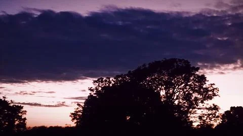 Dramatic Sunset Sky with Tree Silhouettes Landscape Stock-Fotos