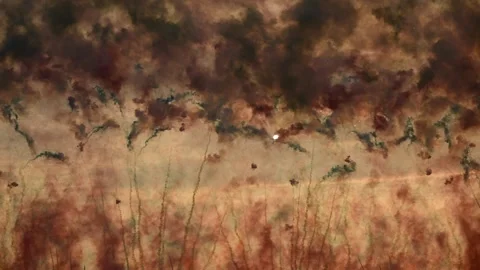 Dramatic sunset smoke clouds with daylight fireworks explosion during festive Stock Footage 302056870