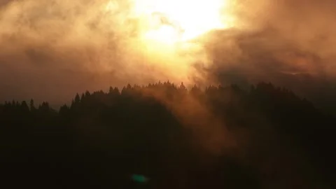 Dramatic Sunset Through Misty Forest Hills Stock Footage 317461541
