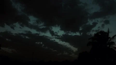 Dramatic sunset timelapse with sun rays through clouds and silhouetted palm tree Stock Footage 309913813