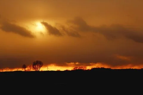 Dramatic sunset with trees and windmills on the horizont Stock Photos
