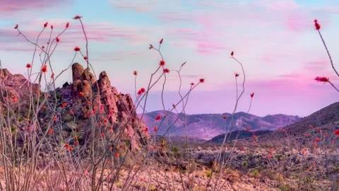 Dramatic Terlingua Sunset Stock Photos
