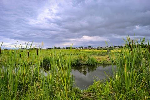 Dramatic textured clouds over polder landscape, western Netherlands 스톡 사진