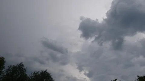 Dramatic thunderclouds slowly move across the sky above the forest Stock Footage 247720768