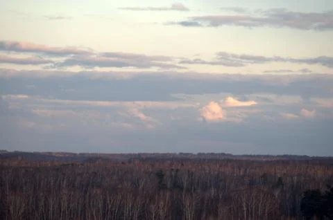 Dramatic thunderstorm clouds before the rain against the backdrop of forests Stock Photos