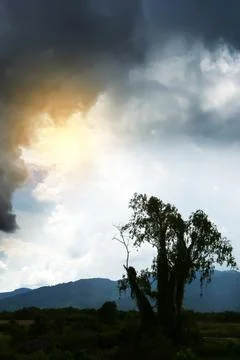 Dramatic thunderstorm over a tree stump. Stock Photos