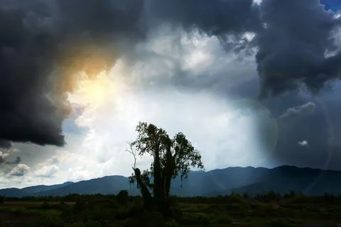 Dramatic thunderstorm over a tree stump. Stock Photos