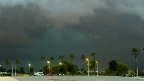 Dramatic Thunderstorm Sky with Lightning Over Palm Trees at Night Stock Footage 347658529