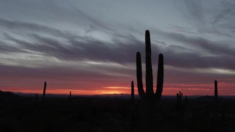 Dramatic Time-Lapse Footage Of Colorful AZ Desert Sunset With Cactus Stock Footage 339593811