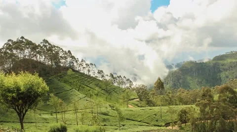 Dramatic timelapse of clouds running through a valley in Sri Lanka Stock Footage 61785807